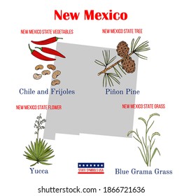 New Mexico. Set of USA official state symbols. Vector hand drawn illustration