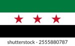 New Official Syria Flag 2024