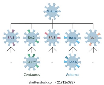 The New Omicron Variants Centaurus BA.2.75 And Aeterna BA.4.6 Are Schematically Represented On The Omicron Genetic Family  Tree.
Omicron Variant And Its Main Subtypes. Icons Of Viruses With Names.