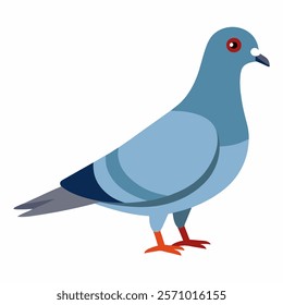 new pigeon vector icon on white background