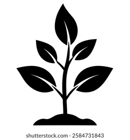 New Plant Growing Silhouette Set Minimalist Nature Elements Botanical Vector Illustration