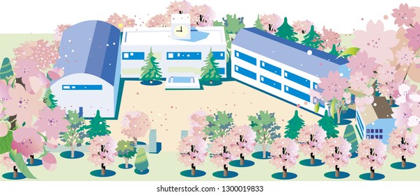 New school term of Sakura Bloom School