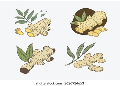 new set of garlic picture