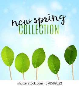 New SPRING Collection design. Can be used for flyers, banners or posters. Vector illustration with green spring leaves 