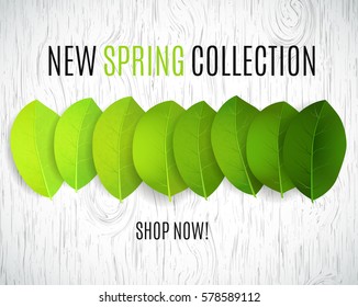 New SPRING Collection design. Can be used for flyers, banners or posters. Vector illustration with green spring leaves 