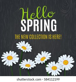 New SPRING Collection design. Can be used for flyers, banners or posters. Vector illustration with daisies