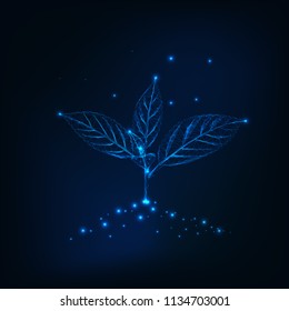 New sprout with leaves in a ground made of lines,dots, triangles. Growth, development concept. GMO engineering, biotechnology. Low polygonal wireframe futuristic design. Vector illustration.