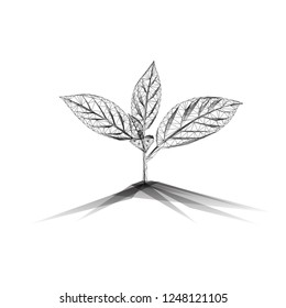 New sprout planted in a soil black on white background. Growth, ecology, life concept. Modern liw polygonal wireframe design vector illustration.