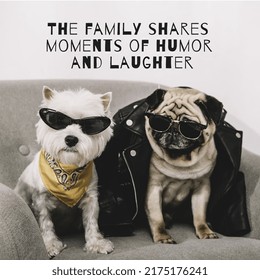 A new study found that 65 different species of animals have their own form of laughter.