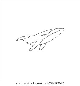New Style blue whale  vector and art style illustration with white background