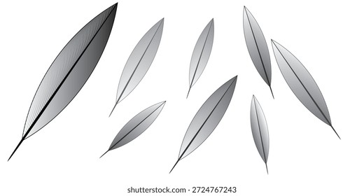 Novo estilo design pássaro pena. Textura de penas, caneta de penas.