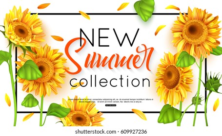 New summer collection with sunflower for banner. Vector illustration.
