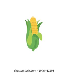 New Sweet Corn Vector flat style illustration, Cartoon style baby corn with green leaves flat vector icon isolated on white background. Fresh vegetable baby corn simple iİllustration symbol