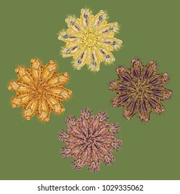 New symmetrical mandala in style zentangle inspired art with doodle. Decorative object can be used for wallpaper, pattern fills, web pages, surface textures.
