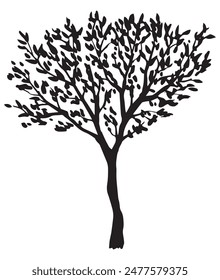 A new tree in silhouette and vector format.