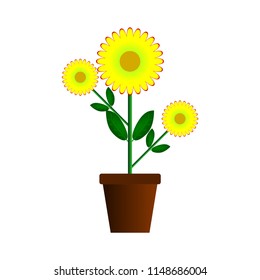 New tree Yellow sunflowers in brown pots On a white background, simple design for your work is available for both print and web sites.
