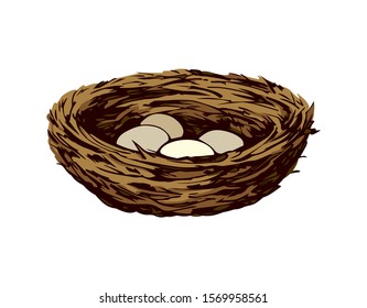 New Twig Woven Eco Birdnest On White Backdrop. Bright Brown Color Hand Drawn Birdie Embryo Food Object Logo Emblem Sketchy In Retro Art Doodle Style On Paper Space For Text. Closeup Outline April View