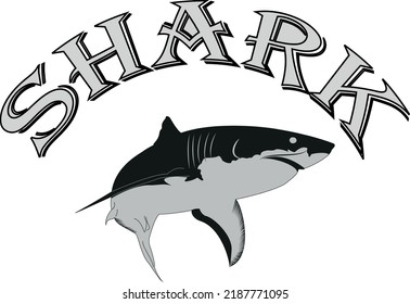 New Vector Shark Tshirt Design,