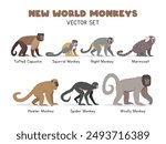 New World monkeys vector illustration set. New World monkey species cartoon clipart set in flat style. Tufted capuchin, squirrel monkey, night monkey, marmoset, howler, woolly, spider monkey