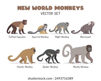 New World monkeys vector illustration set. New World monkey species cartoon clipart set in flat style. Tufted capuchin, squirrel monkey, night monkey, marmoset, howler, woolly, spider monkey