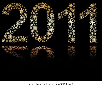 New Year 2011