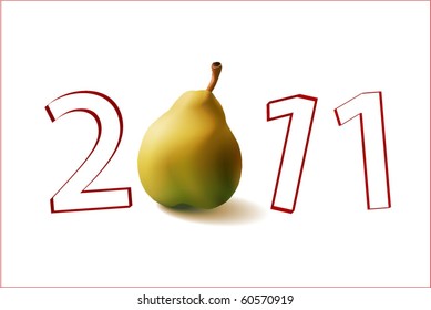New Year 2011