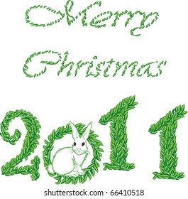 new year 2011 in white background. Vector illustration