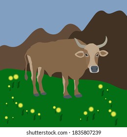 
New year 2021 symbol - A bull grazes in a meadow surrounded by flowers and mountains