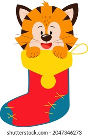 The New Year is 2022. A tiger cub looks out of a festive Christmas sock. A Christmas sock with a smiling cute tiger cub. Winter vector illustration. A tiger in a stocking.