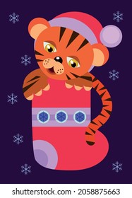 The New Year is 2022. A tiger cub looks out of a festive Christmas sock. A Christmas sock with a smiling cute tiger cub. Winter vector illustration. A tiger in a stocking.