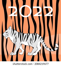 New Year 2022. White tiger on striped background