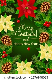 New Year banner, decorative Christmas elements, green tree branches, Christmas holly, red Poinsettia flowers. Congratulatory text. Vector image