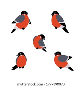 New year bullfinch vector set. 