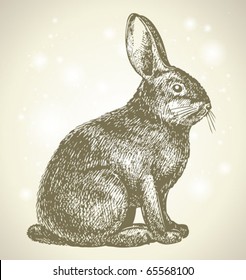 new year bunny beautiful drawing