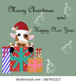 New Year card. Christmas. New Year 2021. The cow is holding a gift box. Year of the bull. Christmas hat. Vector illustration