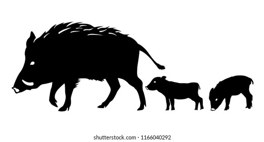 New Year card material: wild boar