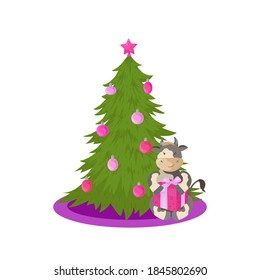 New year cartoon illustration of a cute bull with a gift box and a Christmas tree decorated with balls. Funny winter scene isolated on white background.