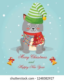 new year cat, vector greetings