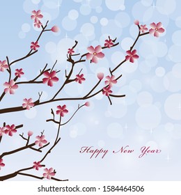 New year cherry blossom background
