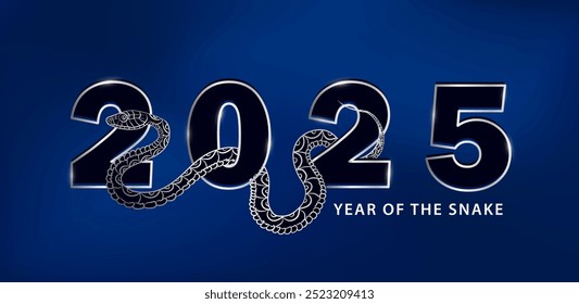 New Year, Christmas banner with silver linear snake elegantly weaves through the bold glossy 