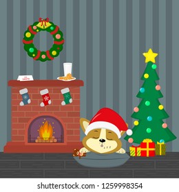 New Year and Christmas card. A cute corgi puppy in a Santa hat is sleeping near the fireplace. Christmas tree with gifts, wreath, milk and cookies in the room at night. Cartoon, vector.