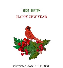 New Year, Christmas card with mistletoe, red berries and red bird. Hand drawn ink drawing for design of greeting cards, banners, invitations, packaging.