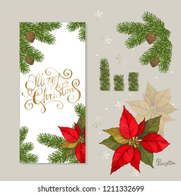 New year, christmas greeting card and invitation elements. Fir brunches cones, decorative stars, bows and Poinsettia flowers. vector illustration. Merry Christmas lettering