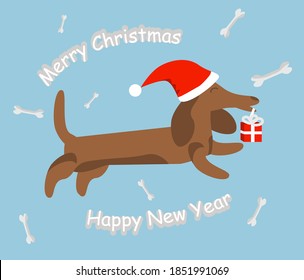 New Year and Christmas greeting card with dachshund in santa hat