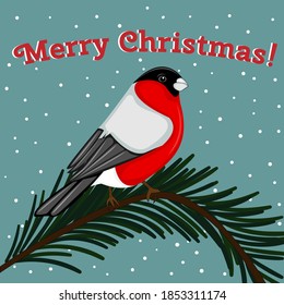 new year and christmas picture