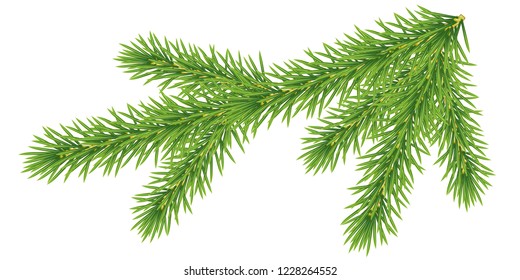 New Year Christmas tree, branch on white background isolated realistic