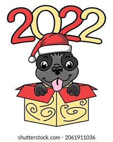 New year, Christmas and winter, set with cartoon pug dog character in Christmas gift box and Santa Claus hat and with tongue. Hand drawn vector illustration.