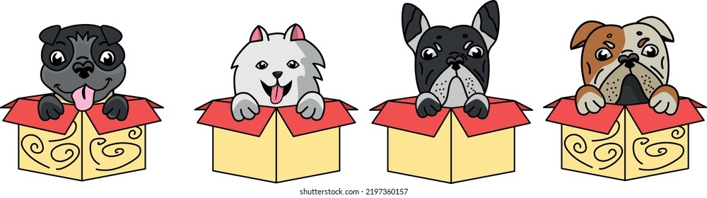 New year, Christmas, and winter, set with cartoon pug, samoyed, french bulldog, and English bulldog.  Dog with paws in a box.  Cartoonish pet. Smiling bulldog