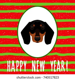 New year of the dog card template. Cute dachshund dog portrait and abstract hand drawn pattern background for new year card, invitation, t shirt, gift album, holiday events, advertising etc.