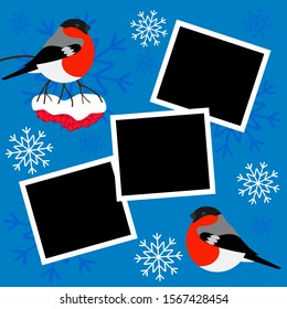 New year frames for photo with red birds and berries (rowan) on blue background. Christmas frames with bullfinch and mountain ash for winter. Vector stock illustration.